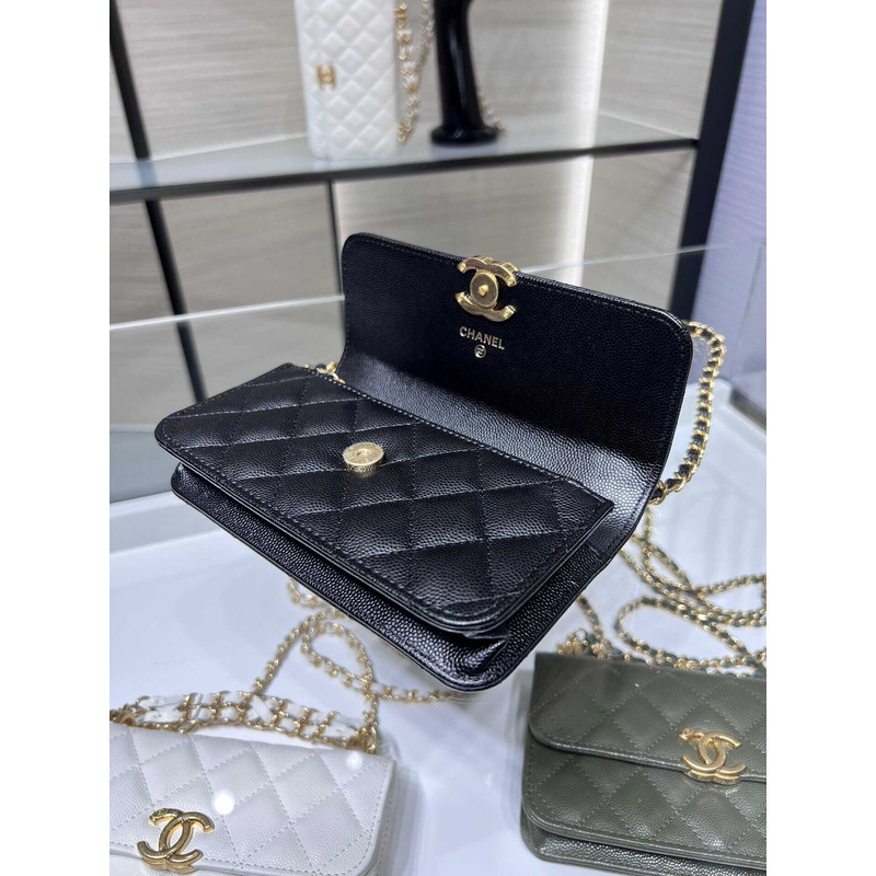 Ch*el 22 page title ohanel  bag